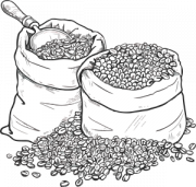 Coffee bags